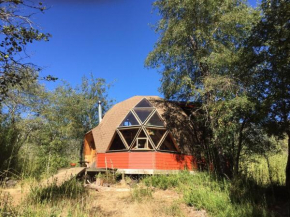 Domo Encantado en el Bosque